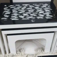 جلو مبلی و 3 عدد عسلی|مبلمان خانگی و میز عسلی|محمدشهر, همایون ویلا|دیوار