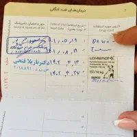 فروش گربه و بچه گربه|گربه|مریوان, |دیوار