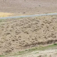 زمین دراتوبان تبریز ،اهر،امند،80 متر فاصله باجاده