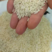 برنج دم سیاه درجه 1|خوردنی و آشامیدنی|آزادشهر, |دیوار