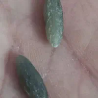 فروش مهره فعال و‌طبیعی