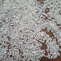 برنج سرلاشه طارم فریدونکنار|خوردنی و آشامیدنی|کرمان, |دیوار