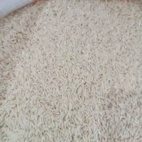 برنج طارم