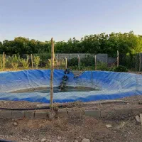 فروش باغ در قوزی آباد|فروش زمین و ملک کلنگی|آباده, |دیوار