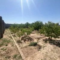 فروش باغ