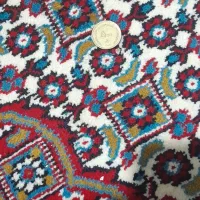 سکه|کلکسیون سکه، تمبر، اسکناس|اردبیل, |دیوار