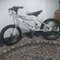 دوچرخه ۱۶تنه قوی،سهره،جفت قناری،جفت عروس،گرینچک