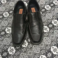 کفش|کیف، کفش، کمربند|کرج, عظیمیه|دیوار