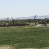 فروش یونجه