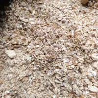 جو،،سویا|لوازم جانبی حیوانات|سریش آباد, |دیوار