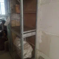 قفس مخصوص گیرینچیک و عروس