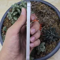 اپل iPhone 13 با حافظهٔ ۱۲۸ گیگابایت|موبایل|کرج, اصفهانی‌ها|دیوار