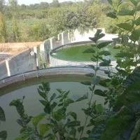 ویلا/خونه باغی/استثنایی/فروش فوری/کردکوی|فروش دفتر صنعتی، کشاورزی، تجاری|گرگان, |دیوار