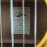 گیتار آریا AK80|گیتار، بیس، امپلیفایر|گلبهار, شهر جدید گلبهار|دیوار