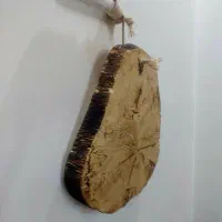 تنه درخت .|صنایع دستی و سایر لوازم تزئینی|تهران, مشیریه|دیوار