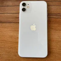 Apple 11