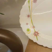 فروش فوری آرکوپال ۲۵ پارچ