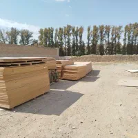 خریدار و فروشنده ام دی اف و نئوپان