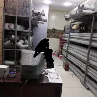 مشارکت شغل