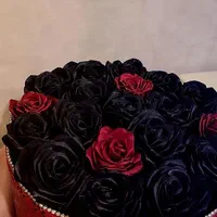 گل ربانی|گل مصنوعی|قم, آذر (نکویی)|دیوار