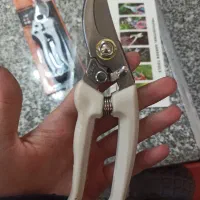 قیچی حرفه ای