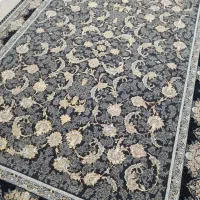 فرس پاتریس برند