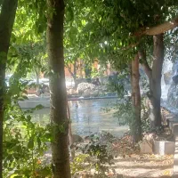 استخدام نگهبان شبانه روزی برای باغ