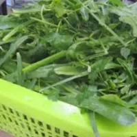 انواع سبزی تر خشک تمیز وپاک خورد شده با سفارش قبل