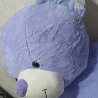 عروسک خرسی نو|اسباب‌‌بازی|اردبیل, |دیوار