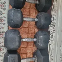 یک جفت دنبل۲۵و۲۰ کیلویی