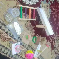 وسایل قفس و وسایل بازی نو|لوازم جانبی حیوانات|ایرانشهر, |دیوار