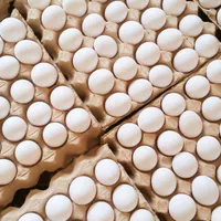 فروش تخم مرغ رسمی در یزد|خوردنی و آشامیدنی|یزد, |دیوار
