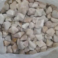 کشک گوسفندی
