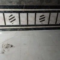 کاشی کار