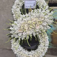 کد57 باغگلتهران ارسالرایگان تاج گل سبد دسته استند|گل و گیاه طبیعی|تهران, صاحبقرانیه|دیوار