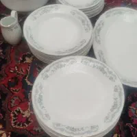 سرویس چینی|ظروف سرو و پذیرایی|پرند, فاز ۶|دیوار