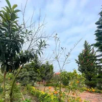 باغ ویلای ۸۰۰متری//شهرک قدیمی سنددار|فروش خانه و ویلا|رویان, |دیوار