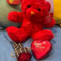 عروسک ولنتاینی|اسباب‌‌بازی|رشت, دیلمان|دیوار