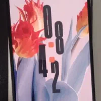 شیائومی نوت ۱۲