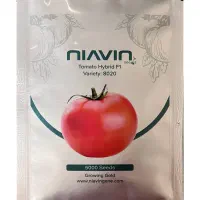 بذر هیبرید گوجه فرنگی رقم پربار  ۸۰۲۰،مشابه ۸۳۲۰