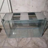 اکواریوم محکم و سالم