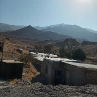 فروش دامداری|فروش دفتر صنعتی، کشاورزی، تجاری|پلنگ آباد, |دیوار