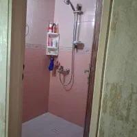 مجتمع عماد، سند تک برگ، املاک آینده