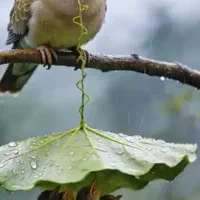 کمک به وسیله شما