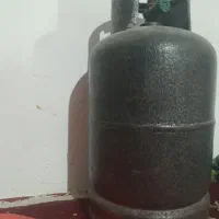 پکنیک بزرگ پکنیک دوقلو