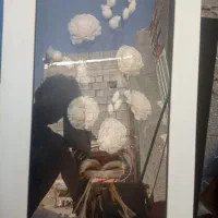 قاب گل وعکس تزیینی