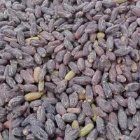 فروشی|خوردنی و آشامیدنی|ایرانشهر, |دیوار