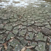 زمین-100متری-علی-آباد-امام-حسین-14