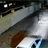 سگ اشپیتز گمشده. خیابان امام|حیوانات|رفسنجان, |دیوار