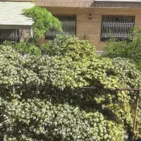 پاسداران ۱۰۰ متر کلنگی با دستور نقشه ۴ طبقه